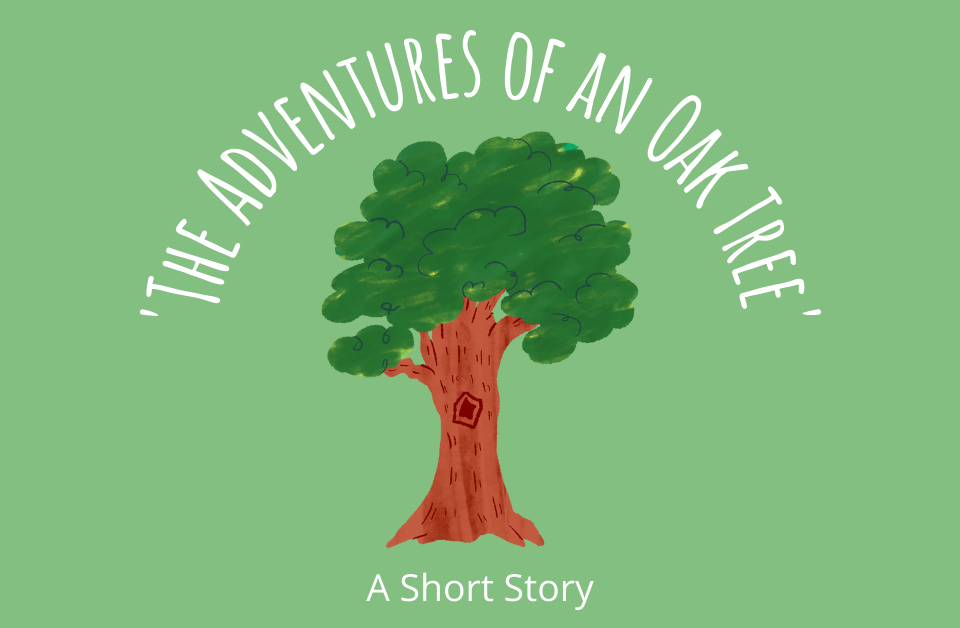 The Adventures of an Oak Tree A Short Story