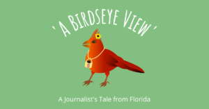 A Birdseye View A Journalist's Tale from Florida