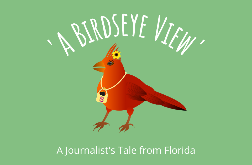 A Birdseye View A Journalist's Tale from Florida