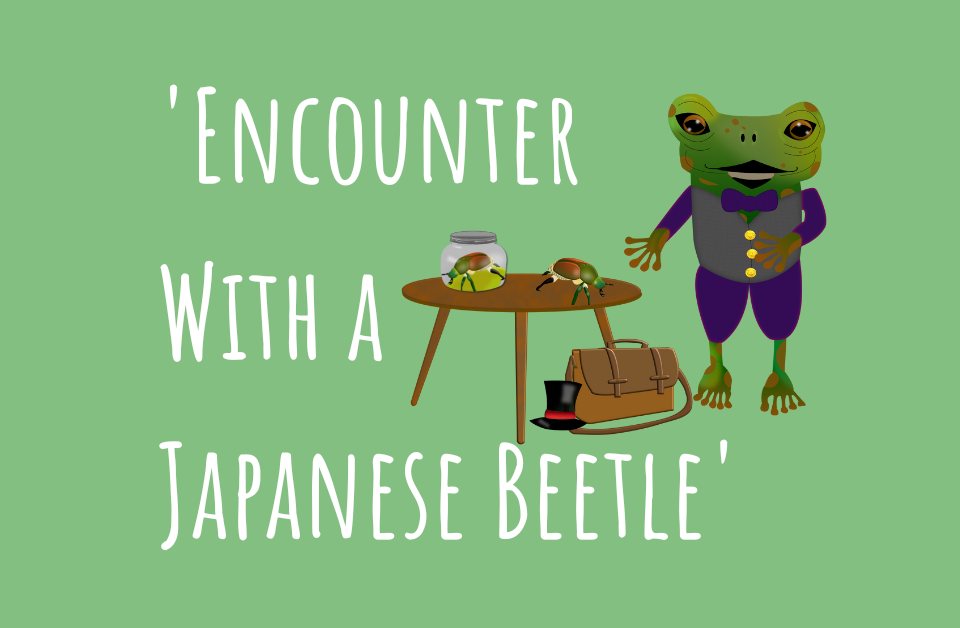 Encounter with a Japanese Beetle Story