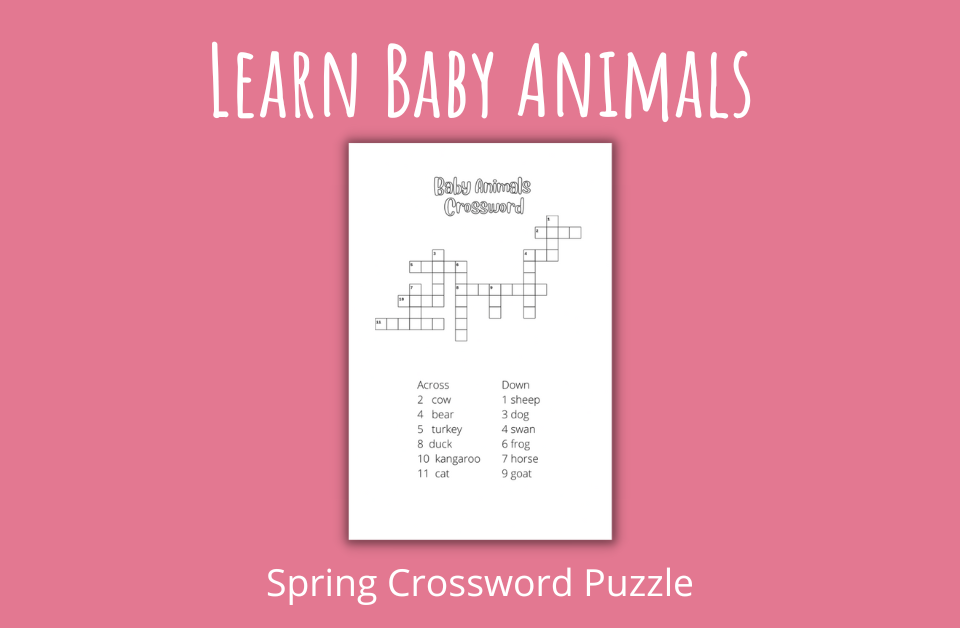 Learn Baby Animals Spring Crossword Puzzle