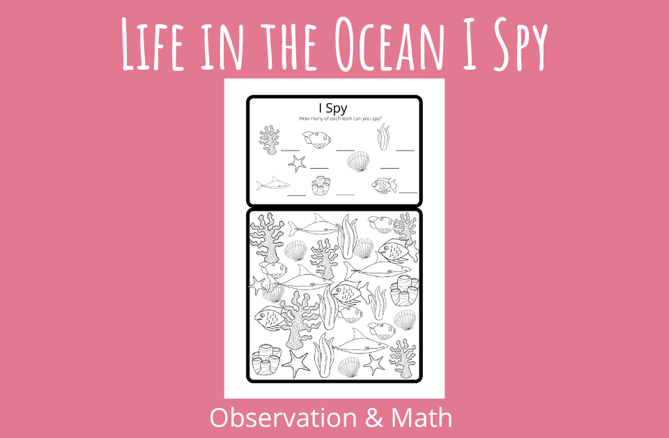 Life in the Ocean I Spy Practice Observation and Math Skills