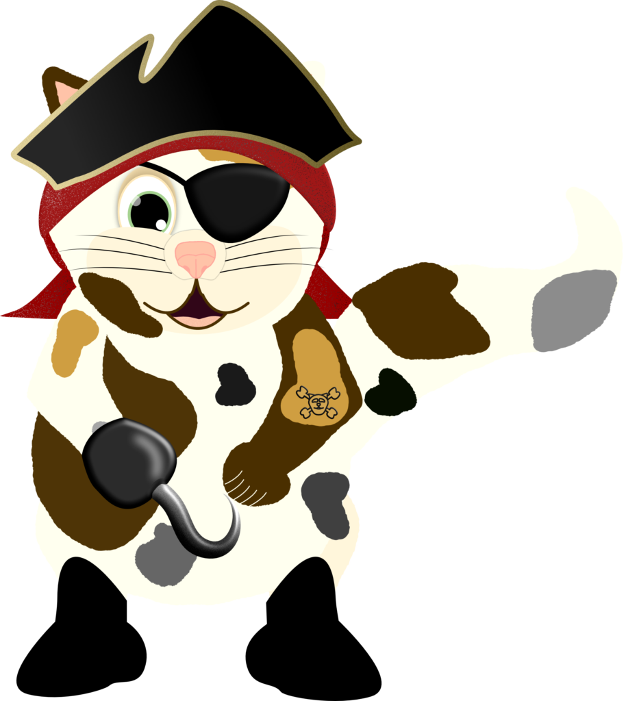 Kedi dressed as a pirate