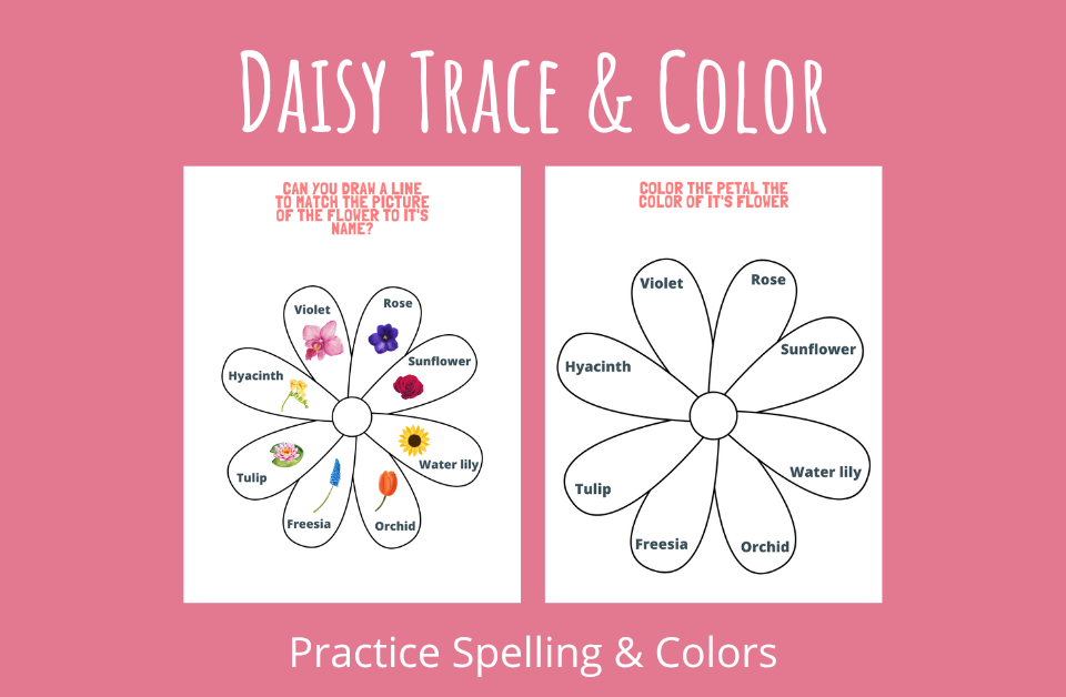 Daisy Trace & Color Practice Spelling and Colors