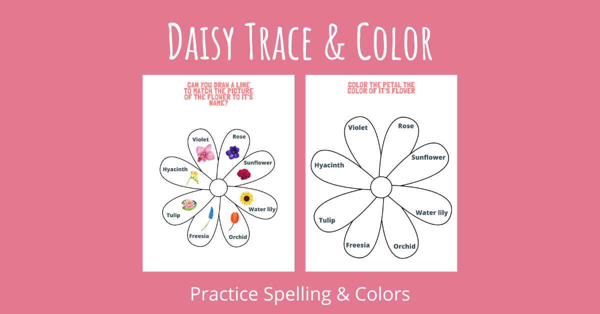 Daisy Trace & Color Practice Spelling and Colors