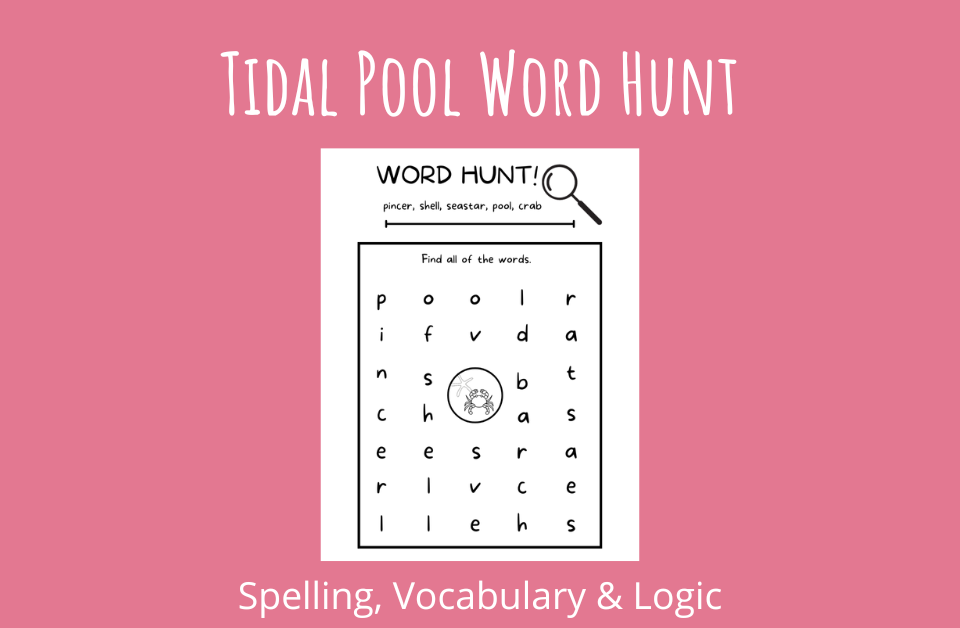 Tidal Pool Word Hunt