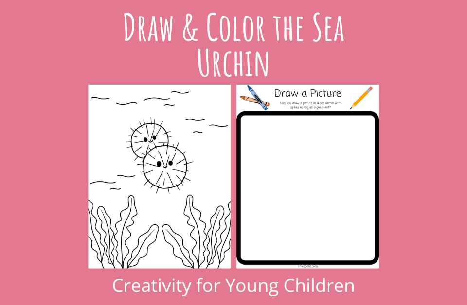 Draw and Color the Sea Urchins