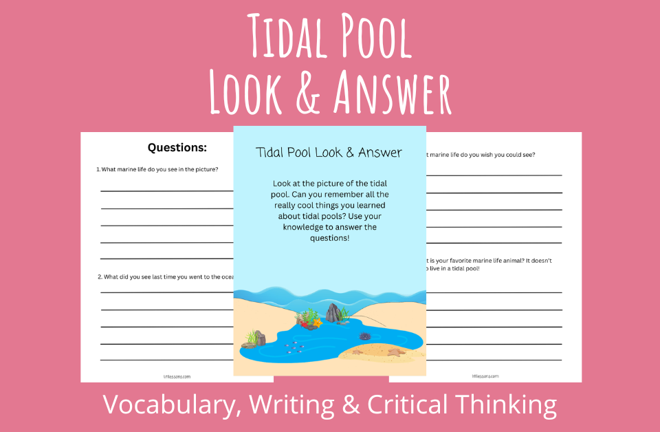 Tidal Pool Look and Answer